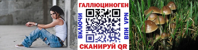 Псилоцибиновые грибы Magic Shrooms Верхнеуральск