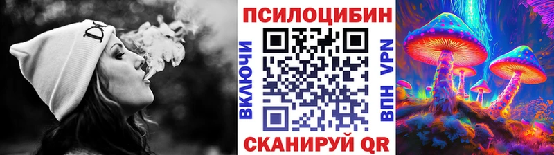 Купить закладки  Верхнеуральск  Галлюциногенные грибы мицелий 